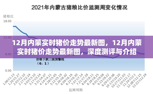 深度解读,最新12月内蒙古实时猪价走势图及行情预测