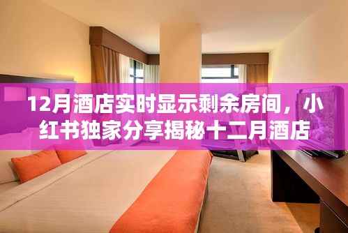 揭秘十二月酒店实时房态显示秘籍,小红书独家分享,轻松预订心仪住宿!