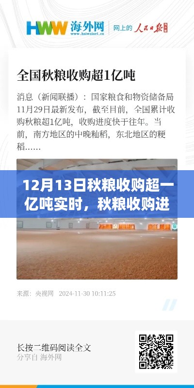 秋粮收购进展顺利,截至12月13日实时收购量超一亿吨的综合分析