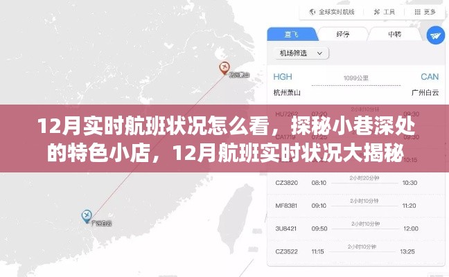 探秘小巷深处的特色小店与揭秘十二月航班实时状况,飞行指南与深度体验