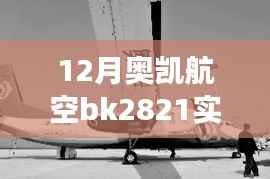 奥凯航空BK2821航班十二月实时动态与运营影响解析
