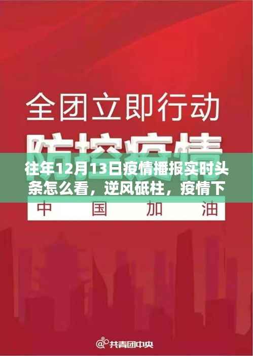 解读往年12月13日疫情播报实时头条,逆风砥柱的力量之源与励志成长之路