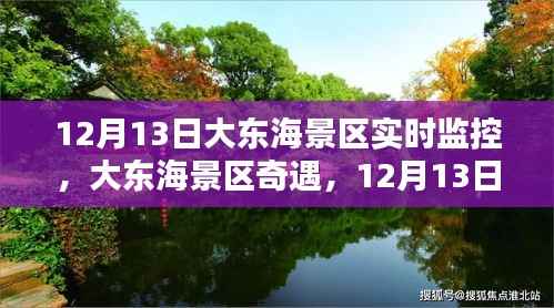 大东海景区奇遇，12月13日的魔法时光实时监控记录