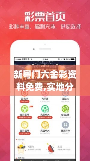 新粤门六舍彩资料免费,实地分析验证数据_苹果版5.107