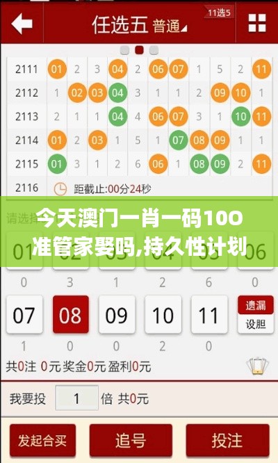 今天澳门一肖一码10O准管家娶吗,持久性计划实施_Tablet7.310