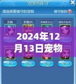 超越时空守护,宠物精准定位软件引领励志新时代(2024年12月13日)