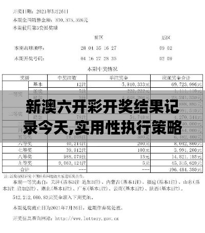 新澳六开彩开奖结果记录今天,实用性执行策略讲解_薄荷版7.402