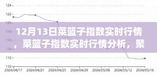12月13日菜篮子指数实时行情及分析,市场波动与影响一览