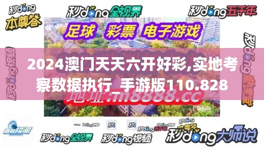 2024澳门天天六开好彩,实地考察数据执行_手游版110.828