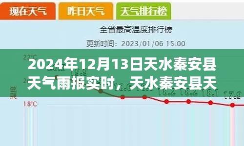 2024年12月13日天水秦安县降雨实时报告，雨情分析及其影响深度观察