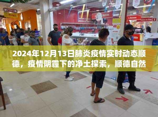 顺德疫情动态与心灵洗涤之旅,探索净土,直面肺炎疫情的挑战