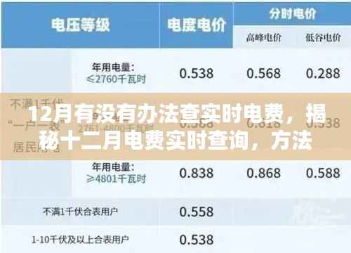 揭秘十二月电费实时查询方法与影响，背景及操作指南