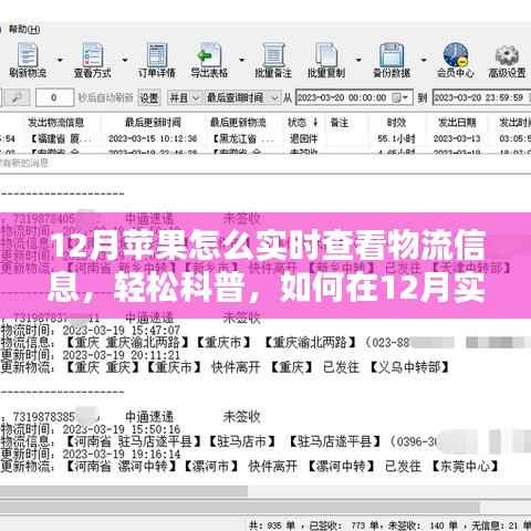 12月苹果产品物流实时跟踪指南，轻松科普如何查看物流信息