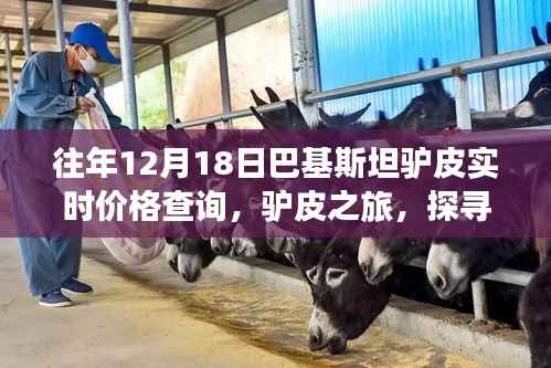 巴基斯坦驴皮价格实时查询,探寻自然美景与内心宁静之旅