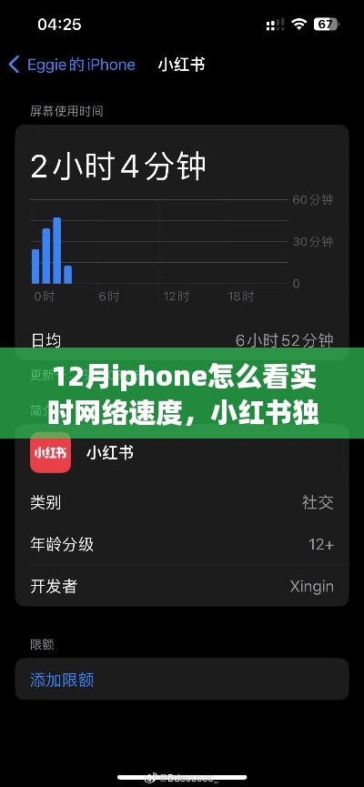 揭秘,iPhone 12月实时网络速度监控技巧,网速一目了然!小红书独家分享指南