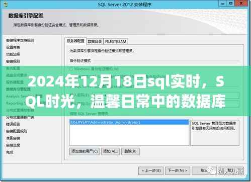 数据库奇缘,SQL时光下的温馨日常与实时数据探索(2024年12月18日)