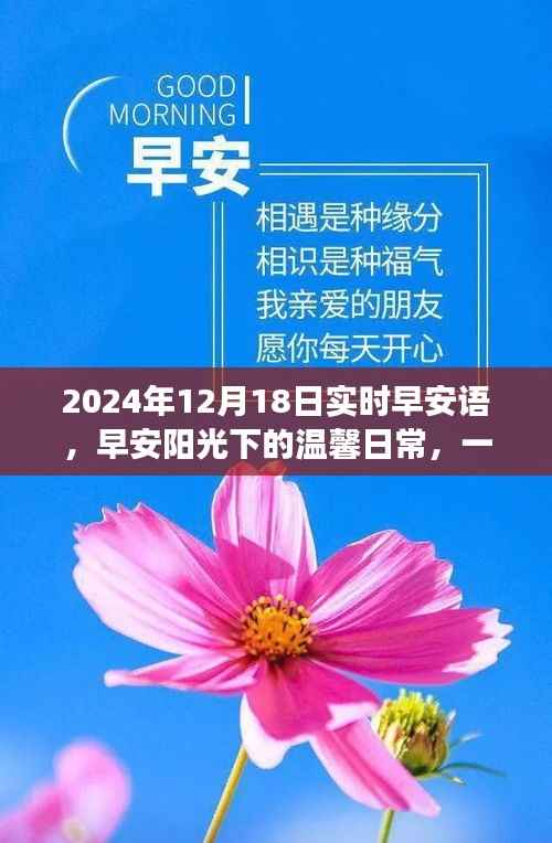 早安阳光下的温馨日常,特别的礼物与珍贵的友情故事,早安问候语 2024年12月18日实时分享