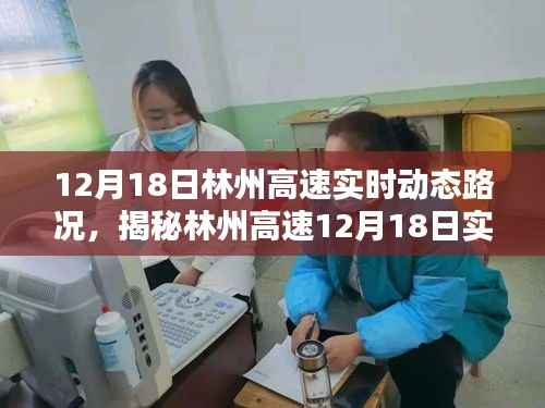 林州高速实时路况播报与小巷独特风味小店探访