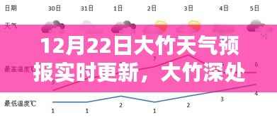 大竹天气预报实时更新,聆听自然之声,掌握天气动态