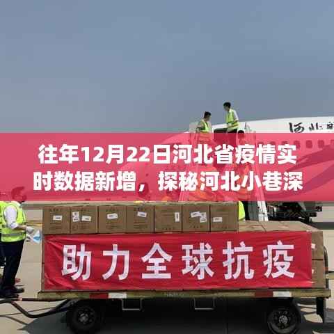 河北抗疫特色小店,疫情之下的暖心故事与实时数据新增探秘