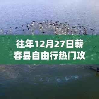 林下风范 第3页