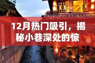 十二月小巷深处的惊喜宝藏,隐藏版特色小店揭秘