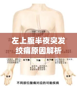 左上腹半夜突发绞痛原因解析