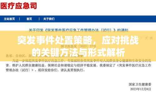 突发事件处置策略,应对挑战的关键方法与形式解析