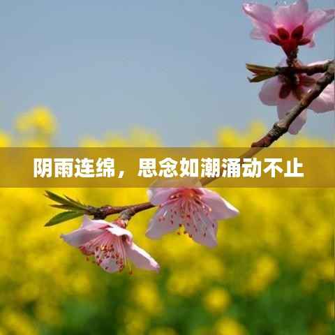 阴雨连绵,思念如潮涌动不止