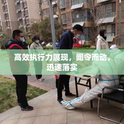 高效执行力展现,闻令而动,迅速落实