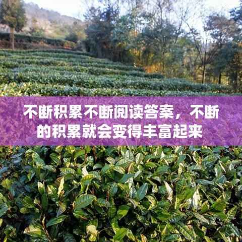 质而不俚 第3页