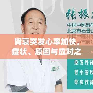 肾衰突发心率加快，症状、原因与应对之策