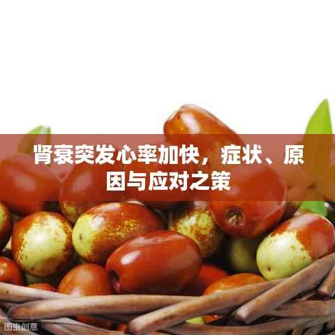 肾衰突发心率加快,症状、原因与应对之策