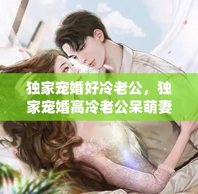 独家宠婚好冷老公,独家宠婚高冷老公呆萌妻
