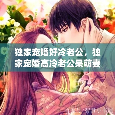 独家宠婚好冷老公,独家宠婚高冷老公呆萌妻