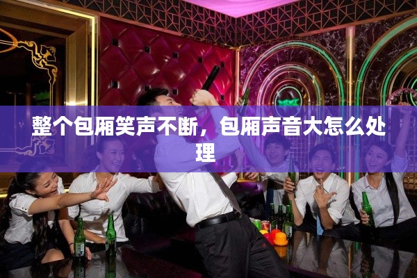整个包厢笑声不断,包厢声音大怎么处理