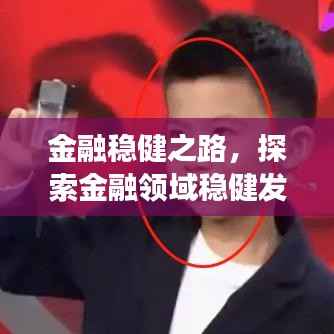 金融稳健之路,探索金融领域稳健发展的奥秘专题