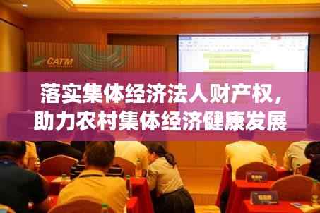 落实集体经济法人财产权,助力农村集体经济健康发展新篇章