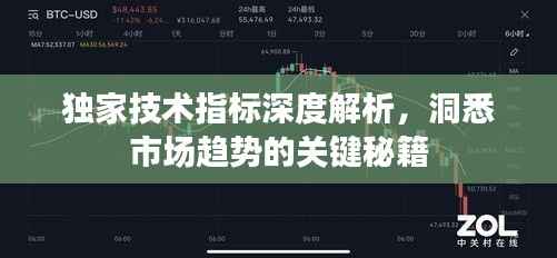 独家技术指标深度解析,洞悉市场趋势的关键秘籍