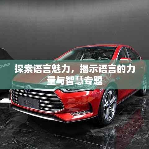 探索语言魅力,揭示语言的力量与智慧专题