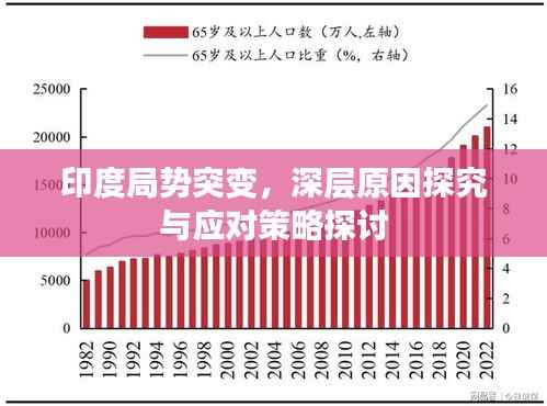 印度局势突变,深层原因探究与应对策略探讨