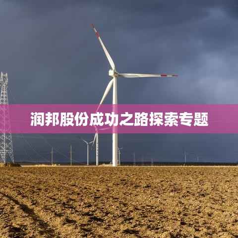 润邦股份成功之路探索专题