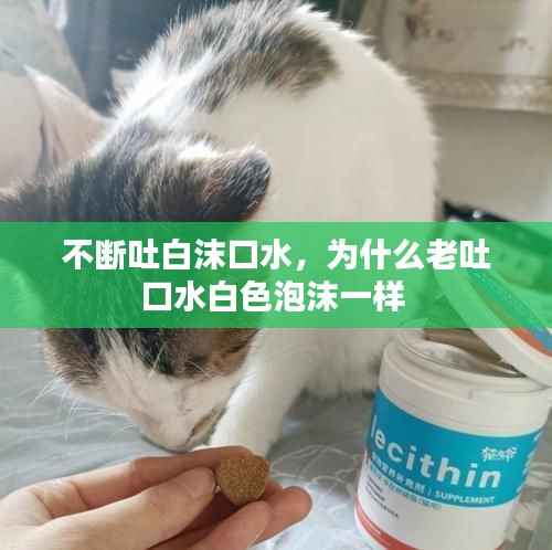 不断吐白沫口水,为什么老吐口水白色泡沫一样