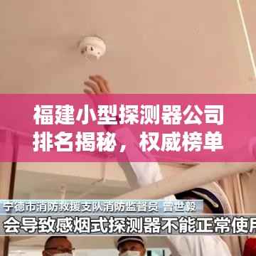 福建小型探测器公司排名揭秘,权威榜单,不容错过!