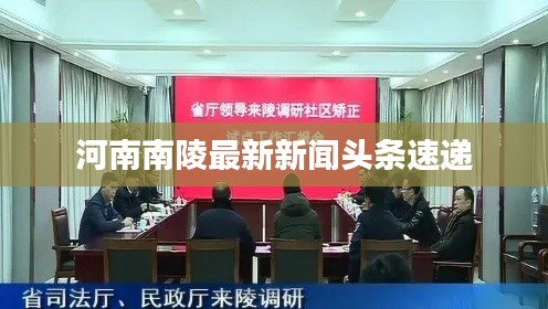 河南南陵最新新闻头条速递
