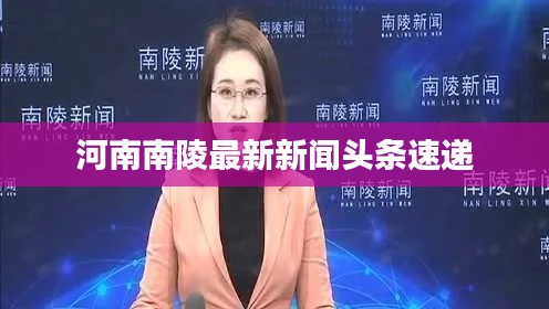 河南南陵最新新闻头条速递