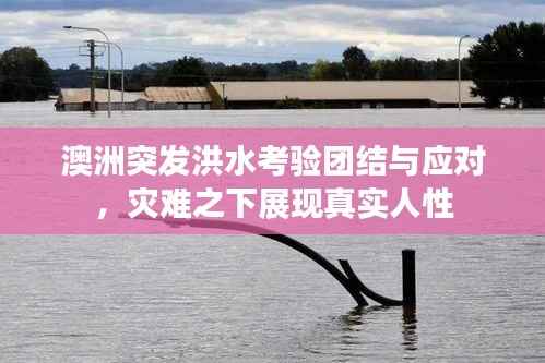 澳洲突发洪水考验团结与应对，灾难之下展现真实人性
