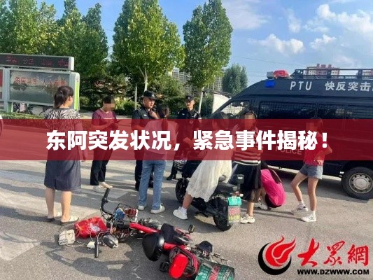 东阿突发状况,紧急事件揭秘!