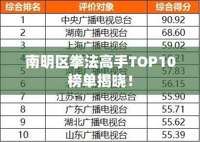 南明区拳法高手TOP10榜单揭晓!