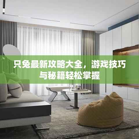 只兔最新攻略大全,游戏技巧与秘籍轻松掌握